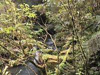 Waitomo