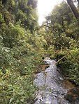 Waitomo