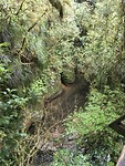 Waitomo
