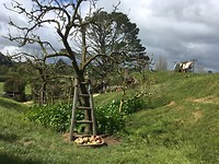 Hobbiton