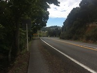 Paihia