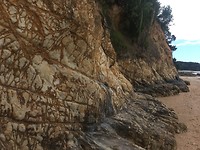 Paihia Hidden Beach(walk)