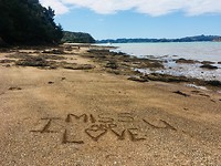 Paihia Hidden Beach(walk)