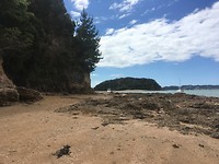 Paihia Hidden Beach(walk)
