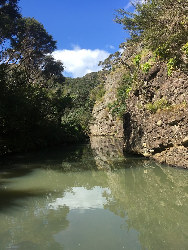 Lane Cove Track