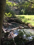 Lane Cove Track