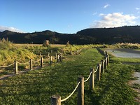 Matauri Bay