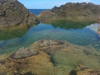 Mermaid Pools