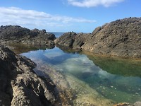 Mermaid Pools