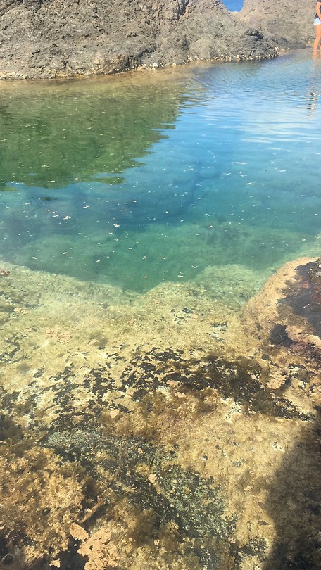 Mermaid Pools