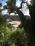 Matapouri Bay