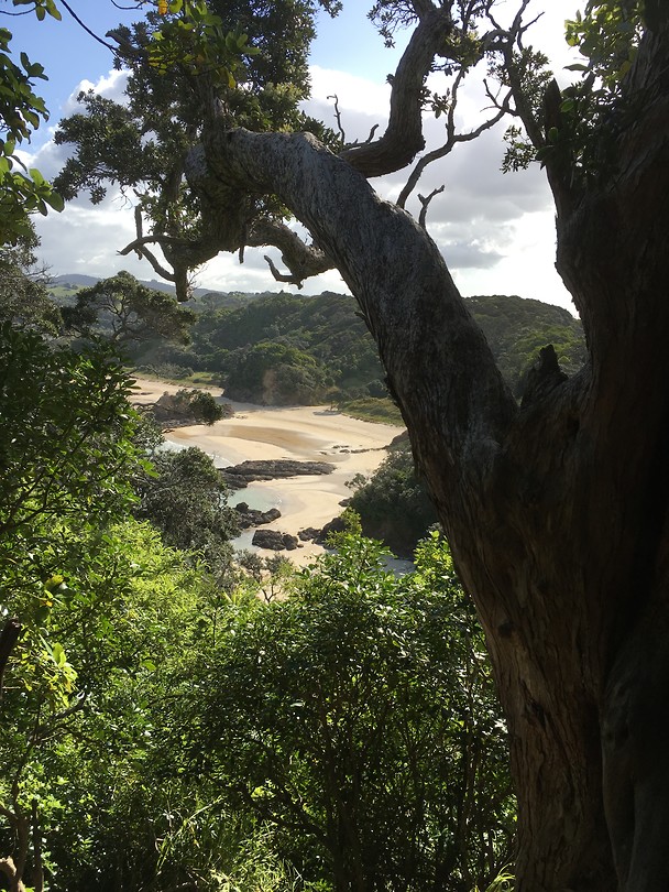 Matapouri Bay
