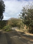 Te Tii, Kerikeri - Drive