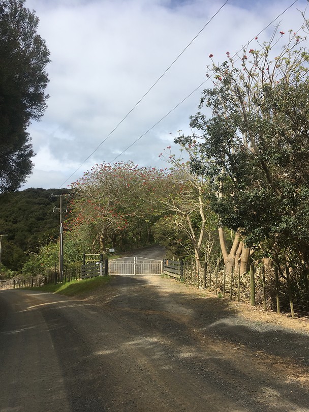 Te Tii, Kerikeri - Drive