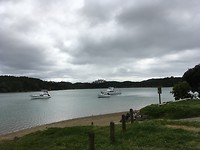 Whangaruru - Drive