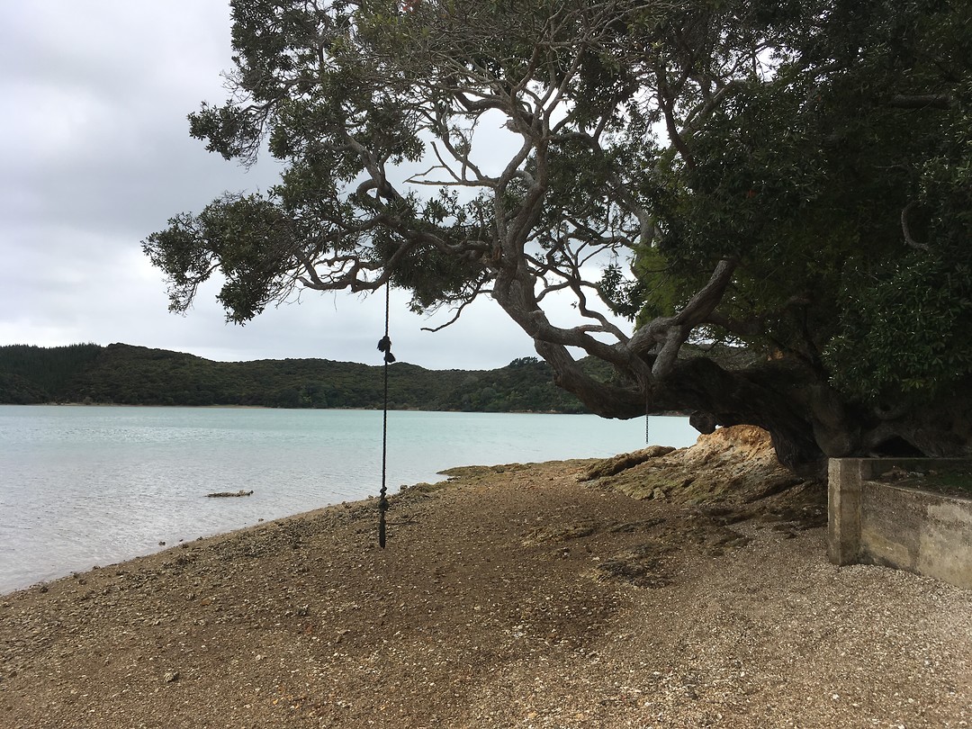 Whangaruru - Drive