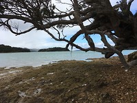 Whangaruru - Drive