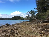 Whangaruru - Drive