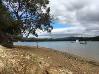 Whangaruru - Drive