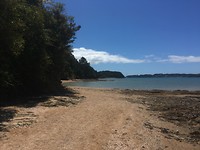 Paihia Hidden Beach(walk)