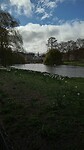 Buckingham Palace