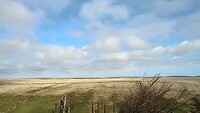 Exmoor wildernis