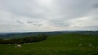 De heuvels van Wales (met schapen)