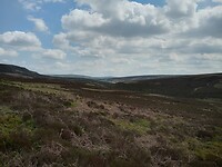 De wilde natuur van Yorkshire