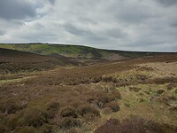 De wilde natuur van Yorkshire