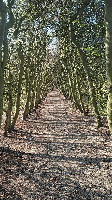 Bos Wageningen