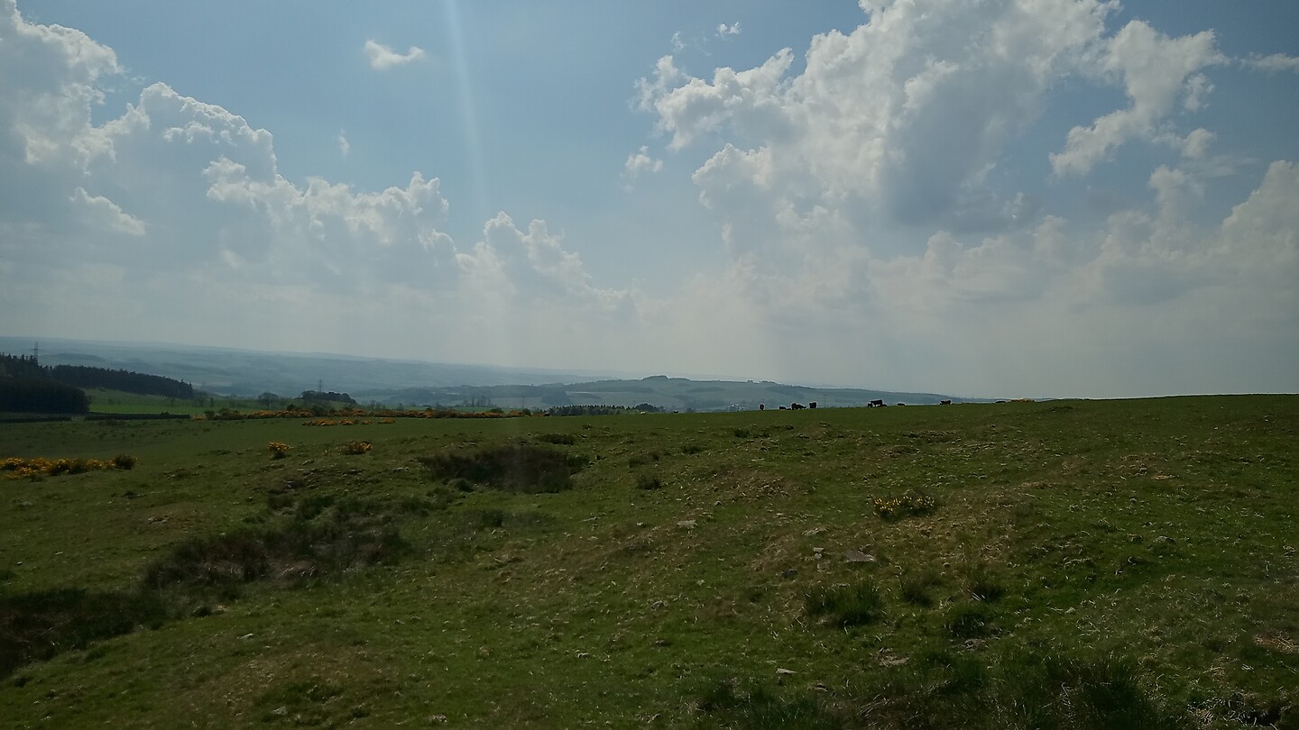 Walwick fell
