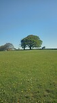 Hadrians wall
