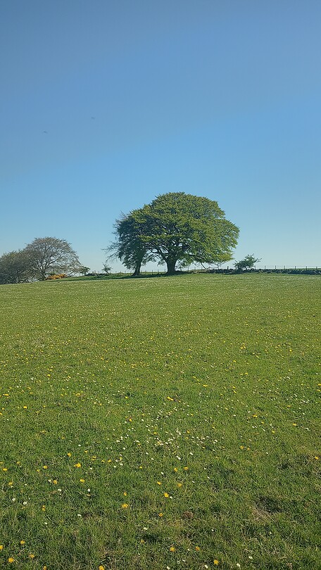 Hadrians wall