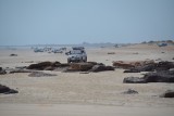 Cable Beach auto's op het strand