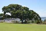 Kingspark