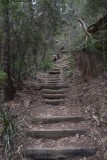 Trappen lopen