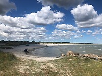 IMG_7401