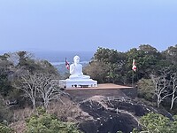 IMG_2688