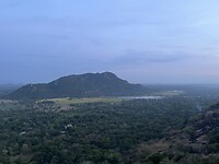 IMG_2694