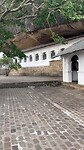 IMG_2810