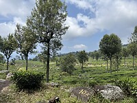 IMG_3182