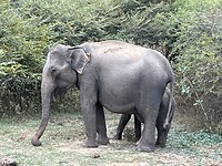 IMG_3340