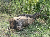IMG_3360