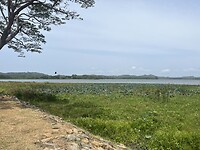 IMG_3361
