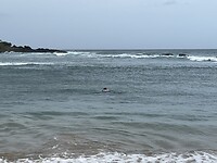 IMG_3363