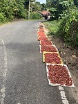 IMG_3371