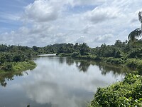 IMG_3419