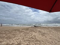 IMG_3448