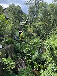 IMG_3456