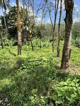 IMG_3457